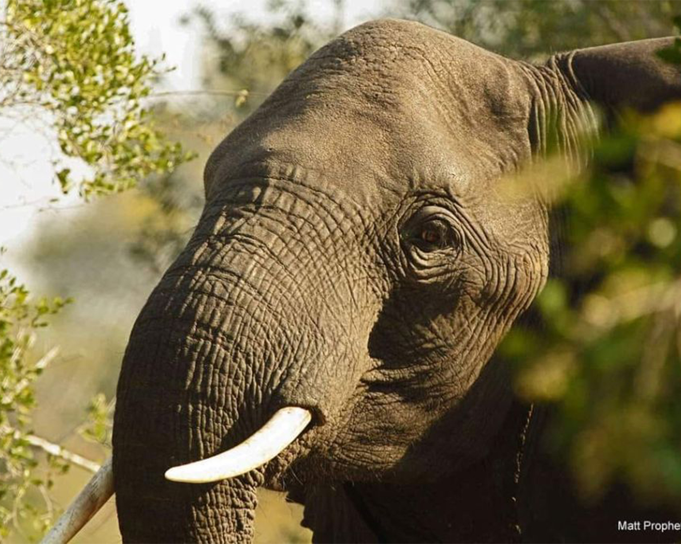 Congressitas de Educação Ambiental vão Visitar o Parque Nacional de Maputo